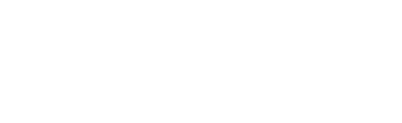 Tecnosystemi-Group